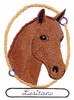 Lusitano Horse