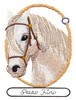 Paso Fino