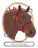 Percheron Horse