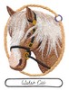 Welsh Cob Horse