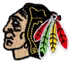 Indian mascot profile - smaller