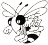 Predatory Bee