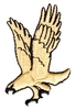 Descending Hawk