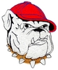 Baseball Bulldog