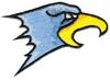 Hawk Head