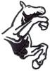 Horse Kicking