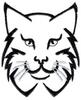 Lynx Outline