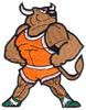 Tough Bull