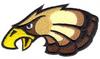 Hawk Head