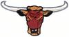 Long Horn Bull Head