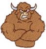 Angry Bull