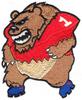 Football Bear