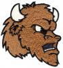 Buffalo Head