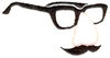 Fake Nose Disguise - larger