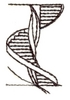 Spiral Staircase