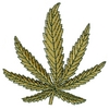 Hemp Leaf (Medium)