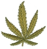 Hemp Leaf (Larger)