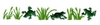 Frog Border Small
