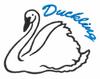 Duckling Swan
