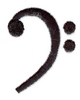 Bass Note