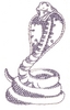 Cobra (Smaller)