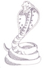 Cobra Outline (Larger)