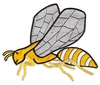 Wasp