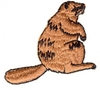 Sitting Beaver