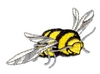 Big Bee #2