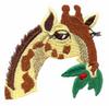 Giraffe Head Eating