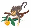 Monkey on Branch