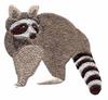 Raccoon