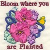 Bloom Where You Are Planted (Micro-embroidery)