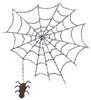 Spider and Web (Micro-embroidery)