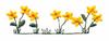 Mother Goose Floral String
