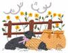 Baa, Baa, Black Sheep Graphic