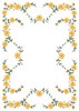 Morning Glory (MacroHoop)