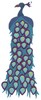 Peacock (MacroHoop)