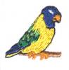 Mini Budgie