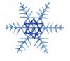 Mini Snowflake