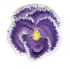 Mini Pansy