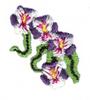 Mini Irises