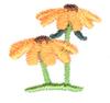 Mini Daisy Duo