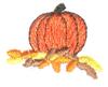 Mini Pumpkin