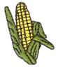 Mini Corn on the Cob