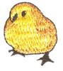 Mini Baby Chick