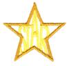 Mini Star with Text