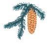 Mini Pine Cone