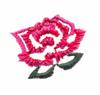 Mini Rose