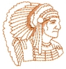Indian Chief